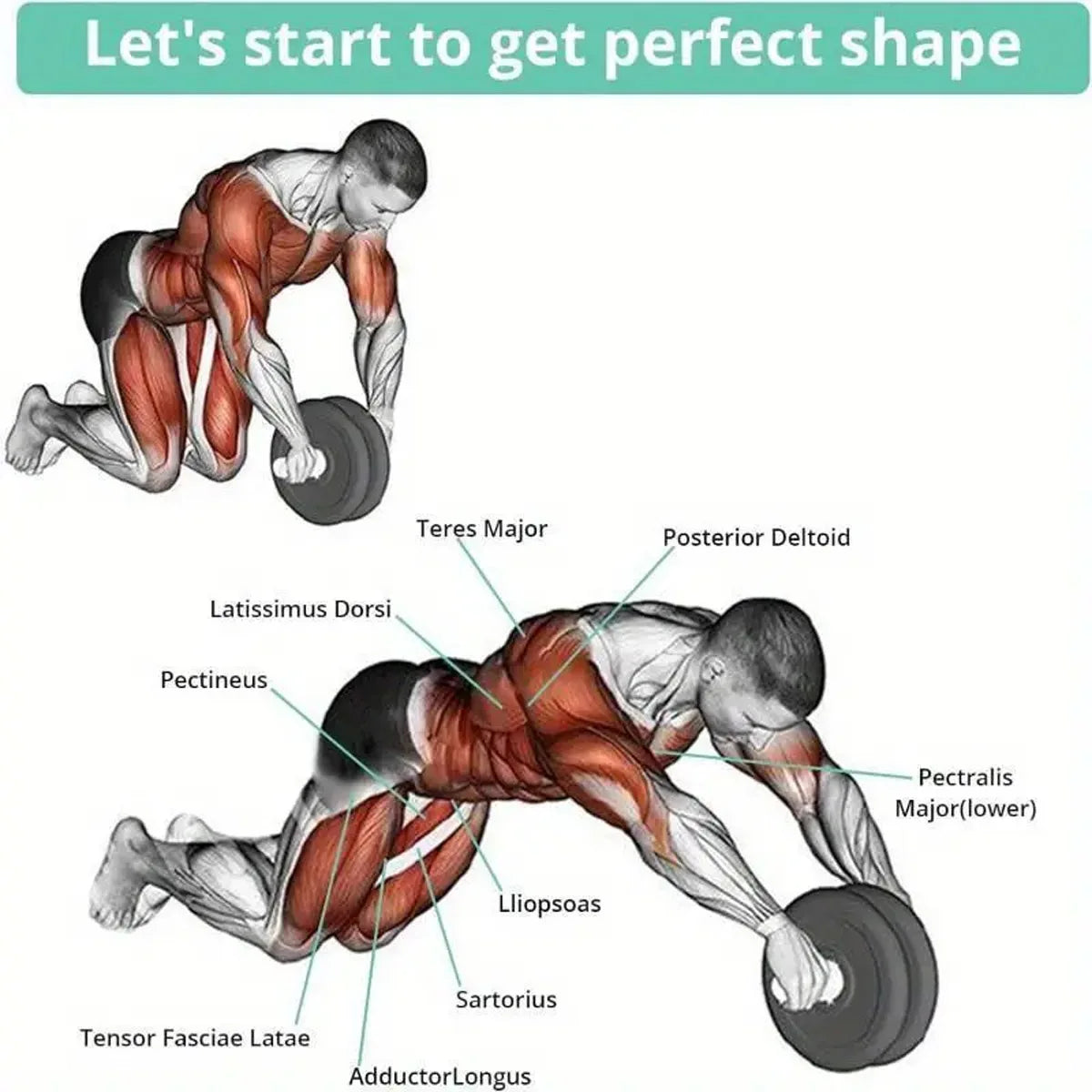 7-in-1 Black Fitness Set Abdominal Fitness Wheel Indoor Sports Push up Support ab Wheel Comprehensive Training Fitness Equipmen